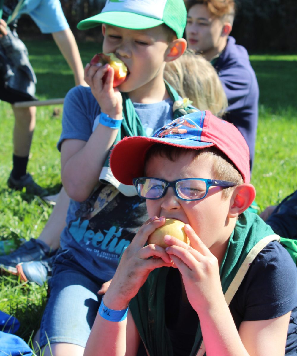 Patro camps d'été mouvements de jeunesse (3)